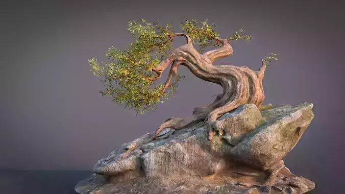 Fantasy Old Tree On A Rocky Low-poly 3D model