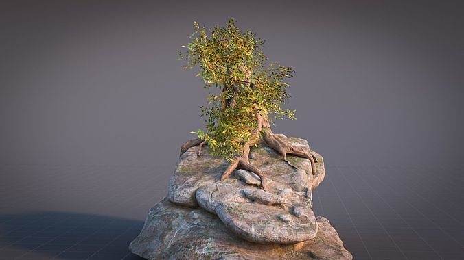 Fantasy Old Tree On A Rocky Low-poly 3D model 4