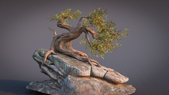 Fantasy Old Tree On A Rocky Low-poly 3D model 6