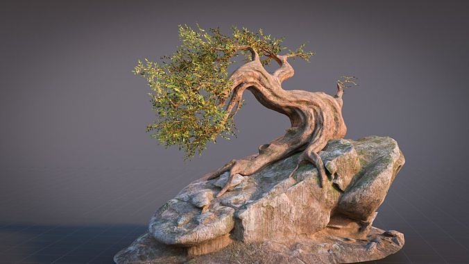 Fantasy Old Tree On A Rocky Low-poly 3D model 2