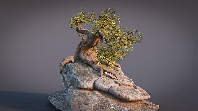 Fantasy Old Tree On A Rocky Low-poly 3D model 5