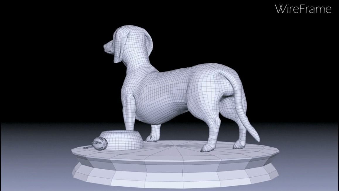 Detailed Dachshund Dog Low-poly 3D model_8