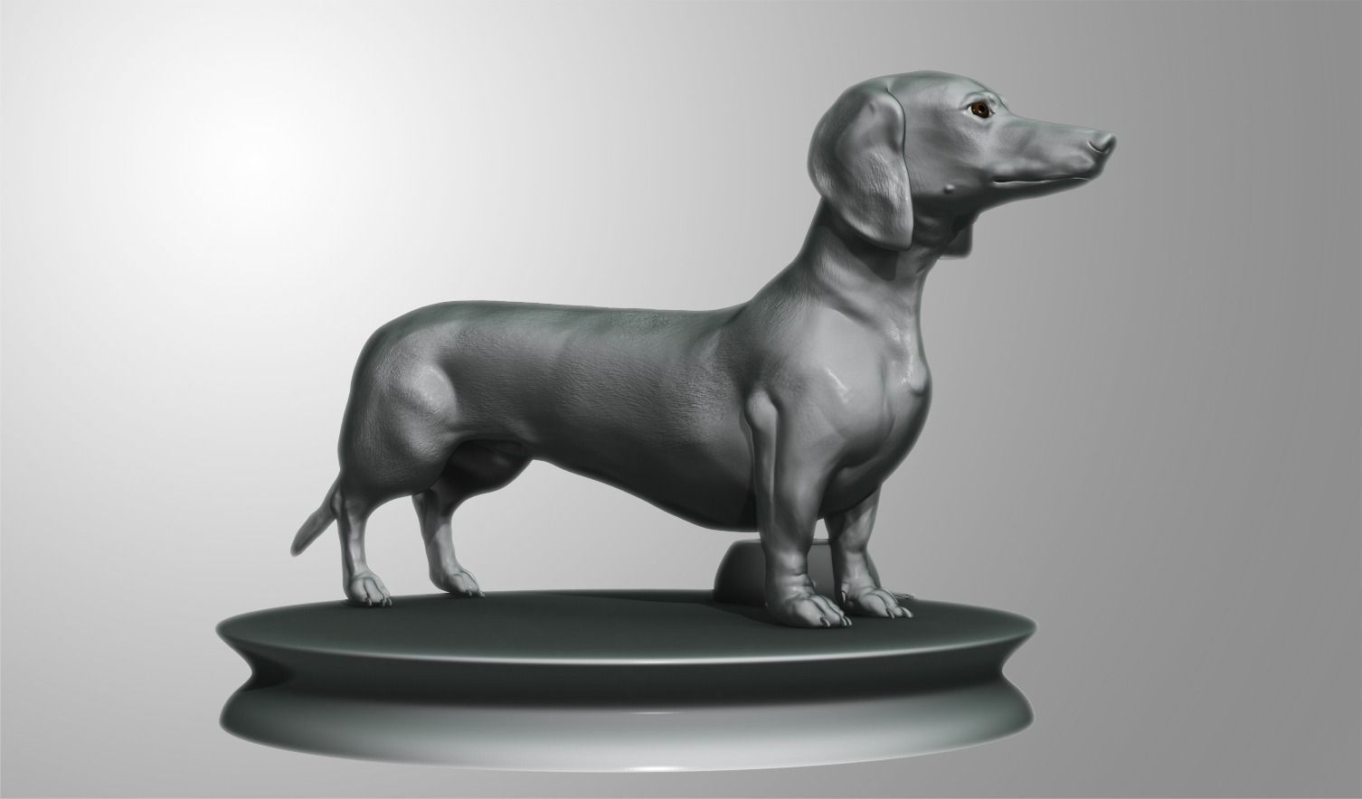 Detailed Dachshund Dog Low-poly 3D model_3