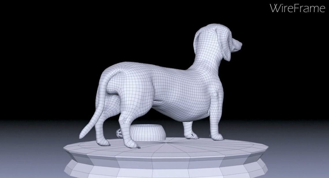 Detailed Dachshund Dog Low-poly 3D model_9