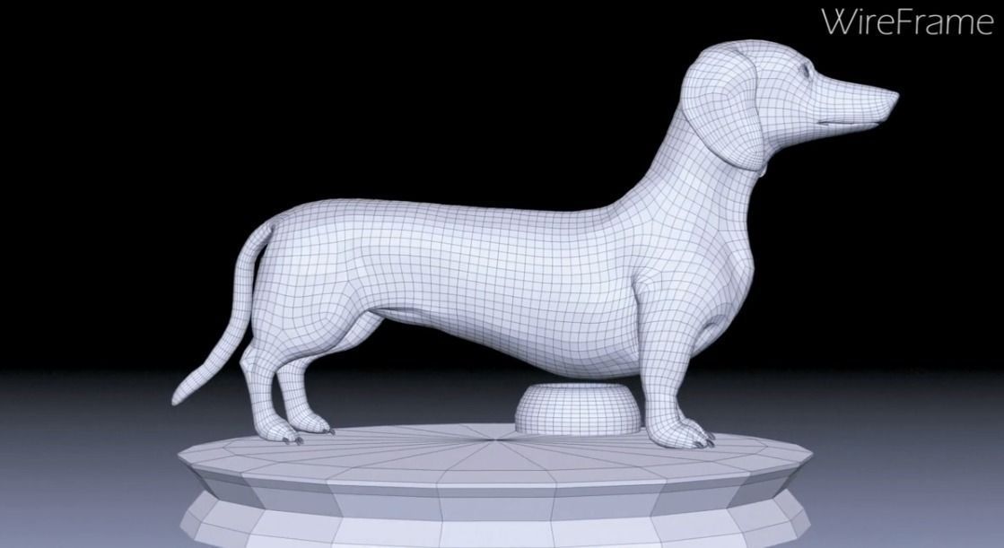 Detailed Dachshund Dog Low-poly 3D model_11