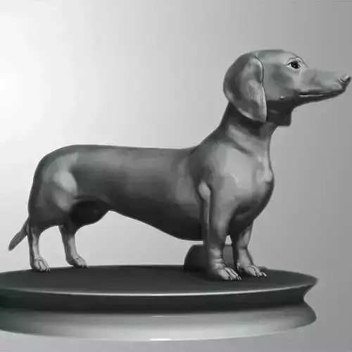 Detailed Dachshund Dog Low-poly 3D model