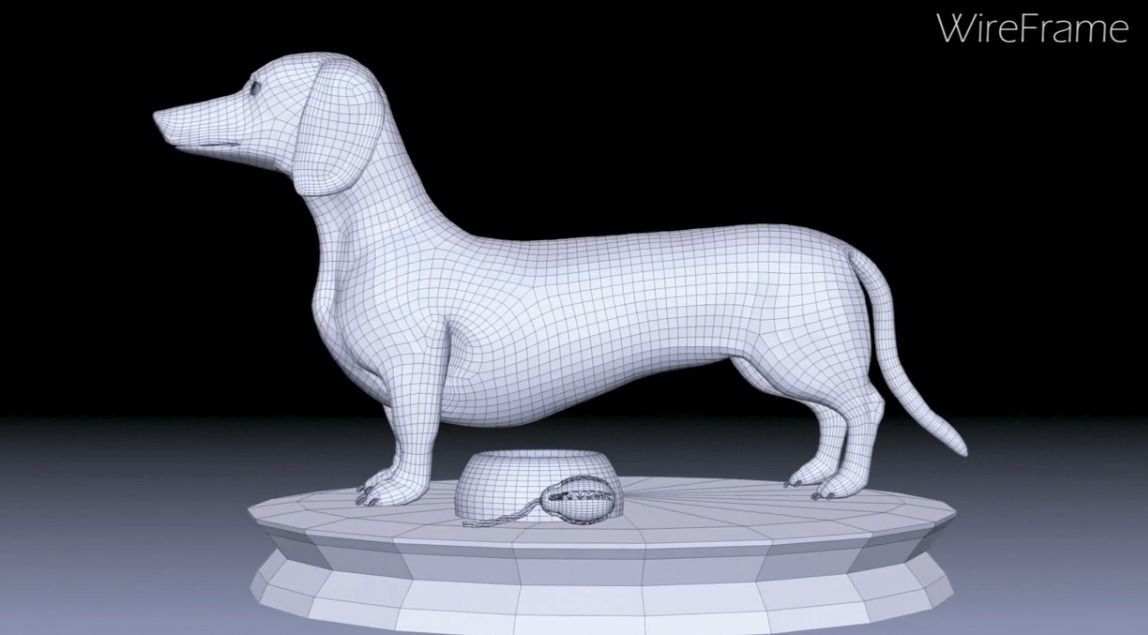 Detailed Dachshund Dog Low-poly 3D model_12