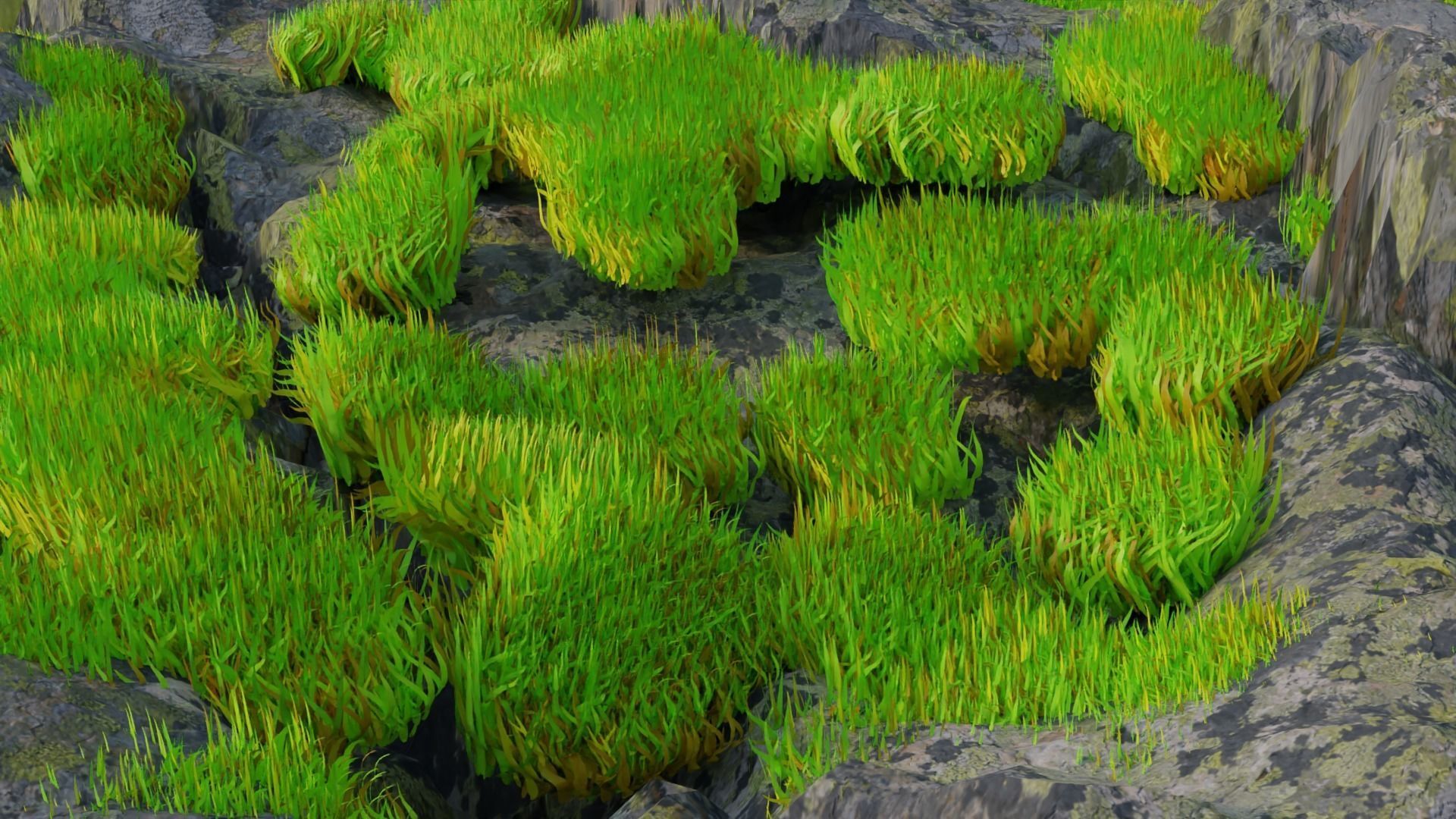 Realistic Grass model grasses in sea Free 3D model_2