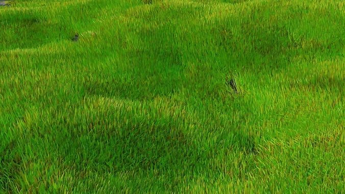 Realistic Grass model grasses in sea Free 3D model