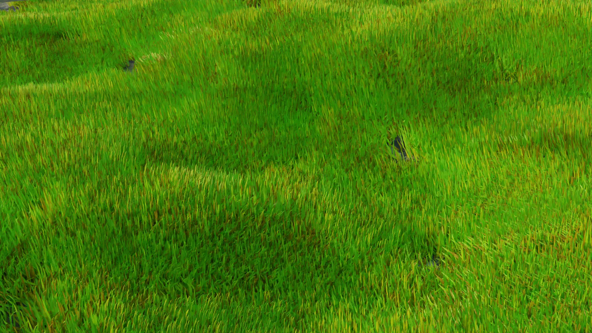Realistic Grass model grasses in sea Free 3D model_0