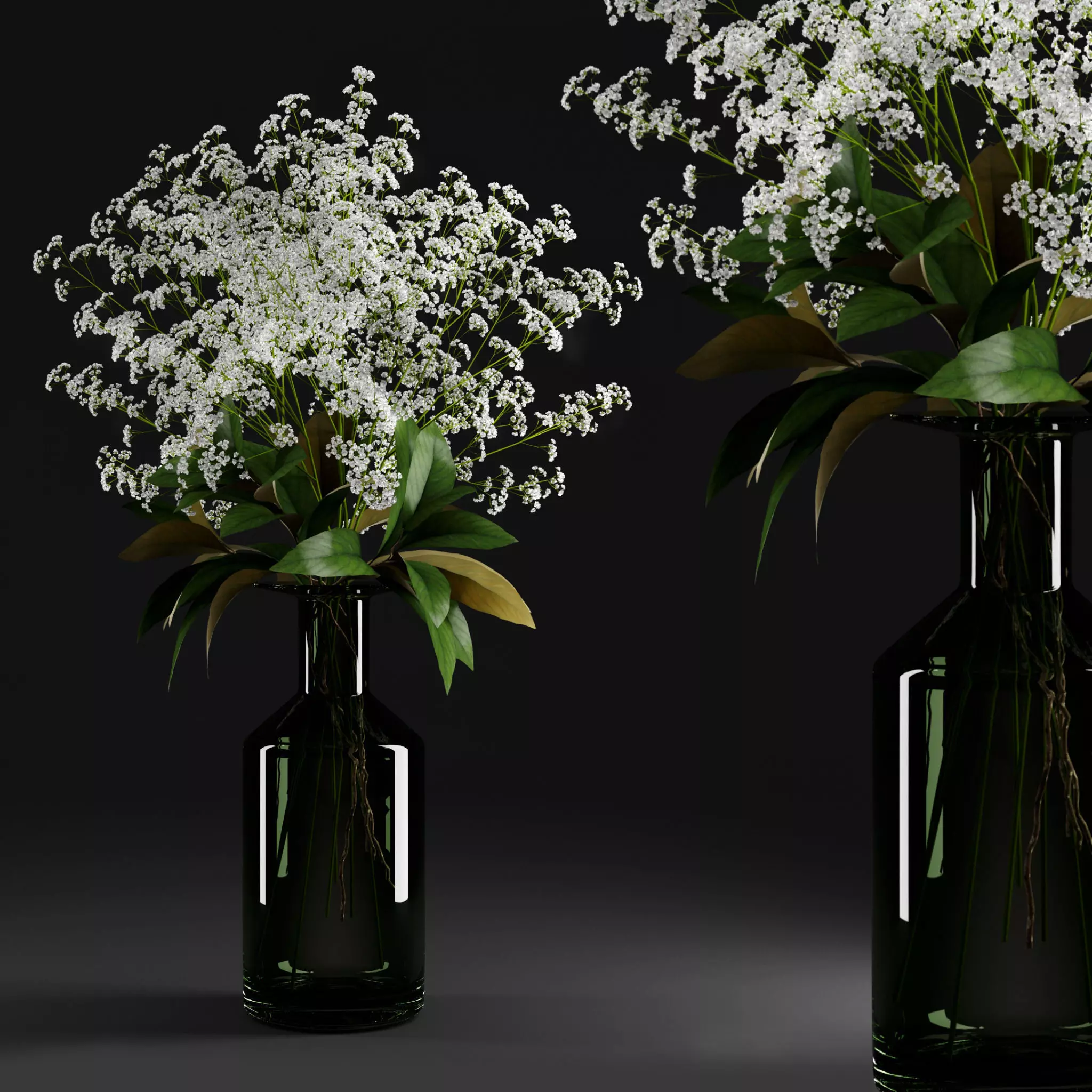 Gypsophila and magnolia leaves in bottle 3D model_0