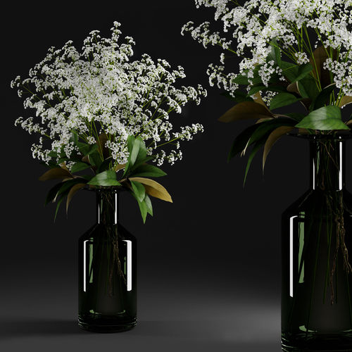 Gypsophila and magnolia leaves in bottle 3D model