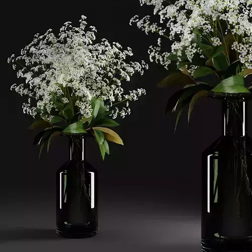 Gypsophila and magnolia leaves in bottle 3D model