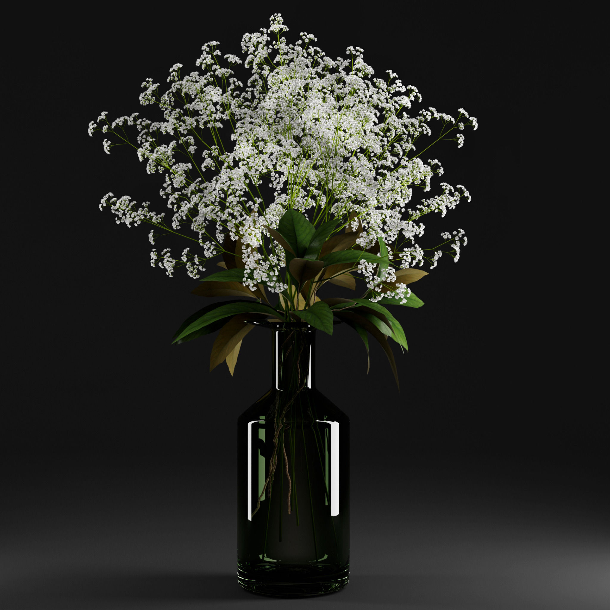 Gypsophila and magnolia leaves in bottle 3D model_3
