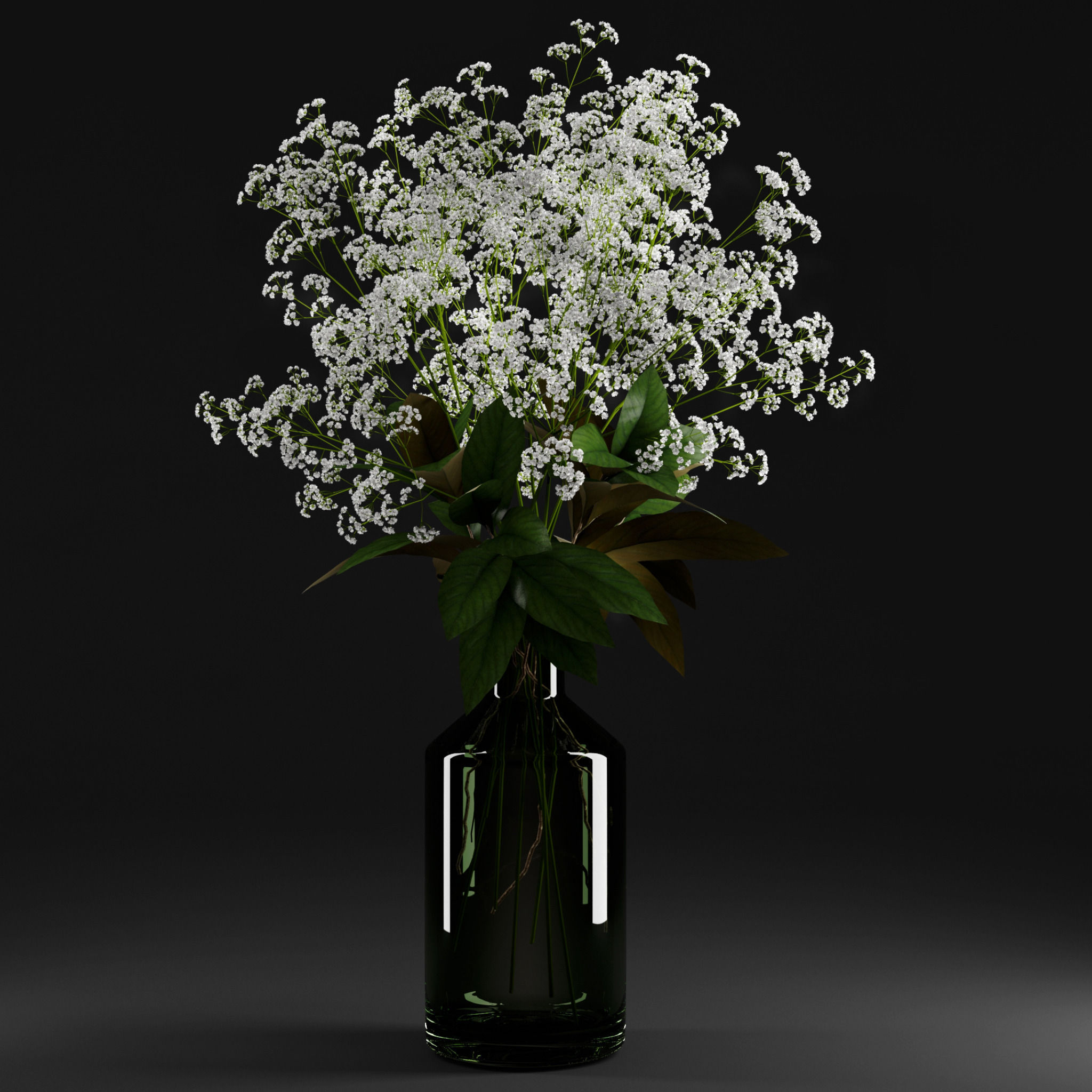 Gypsophila and magnolia leaves in bottle 3D model_2