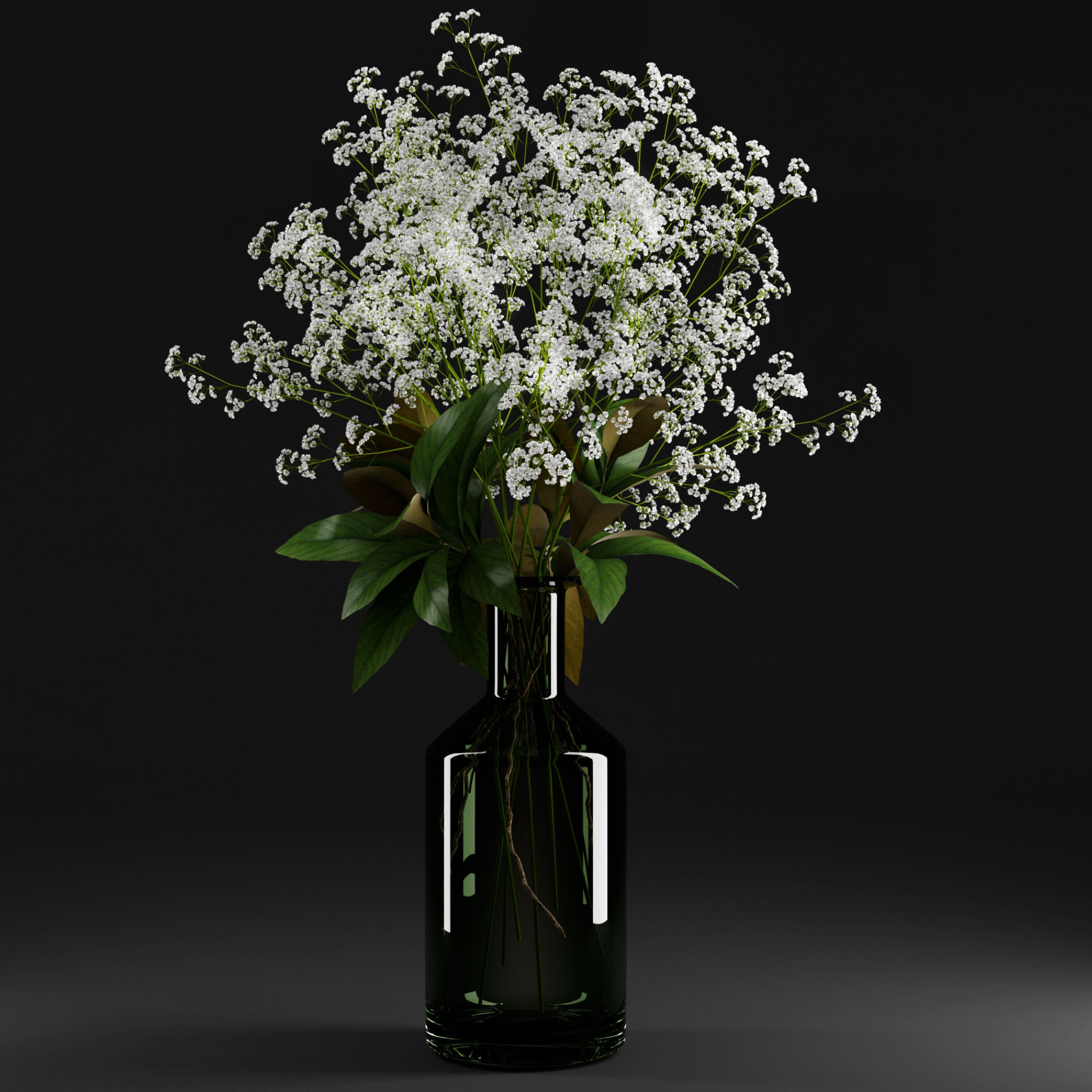 Gypsophila and magnolia leaves in bottle 3D model_4