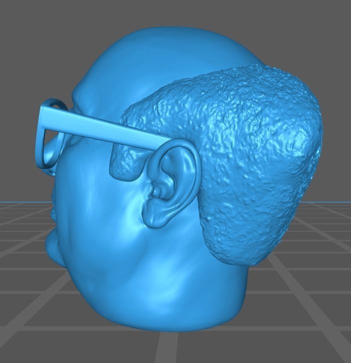 Danny Devito Face Model 3D print model_1