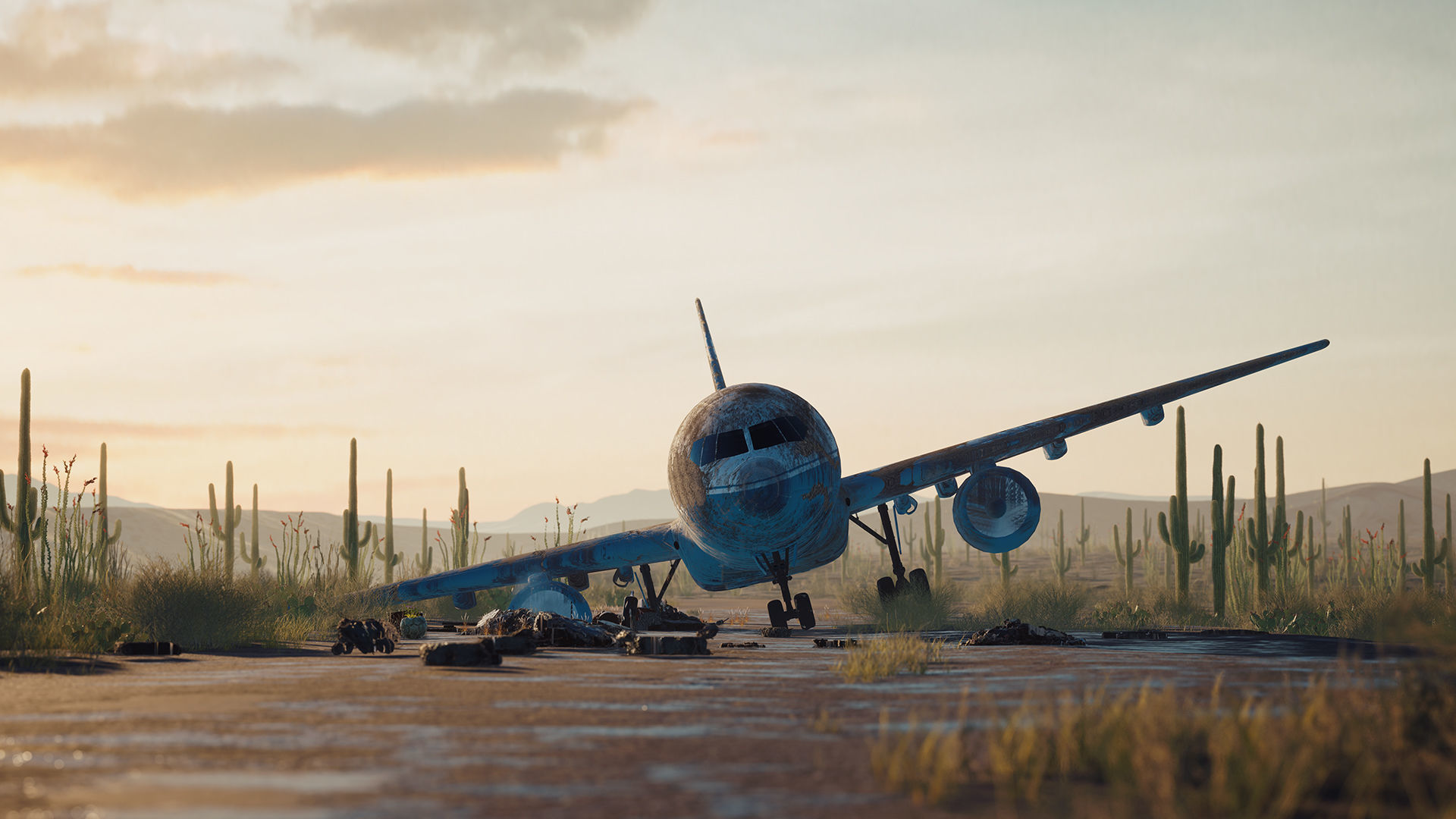 Abandoned Flight 3D model_2