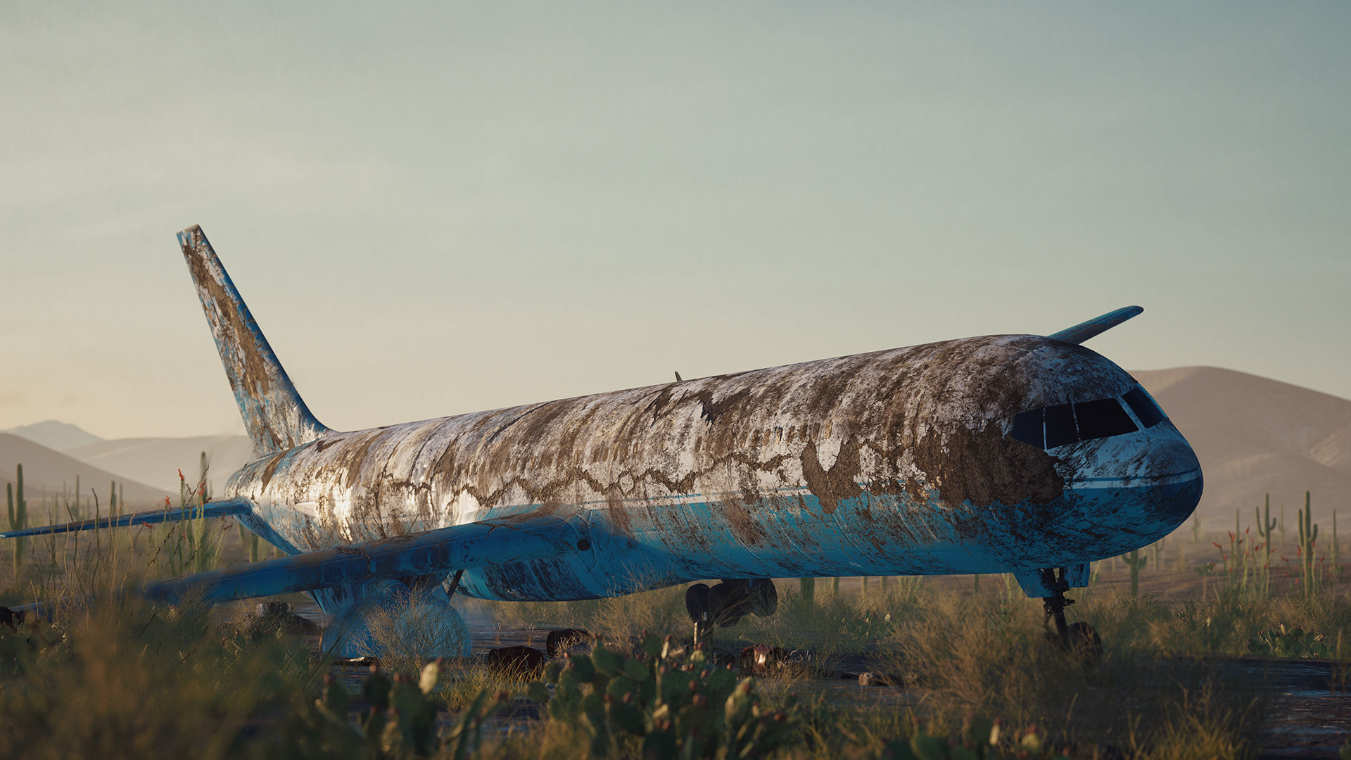 Abandoned Flight 3D model_3