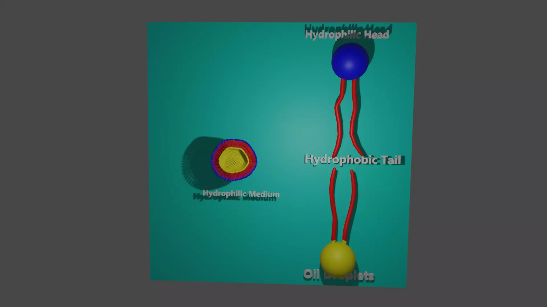 Formation of micelles 3D model_0