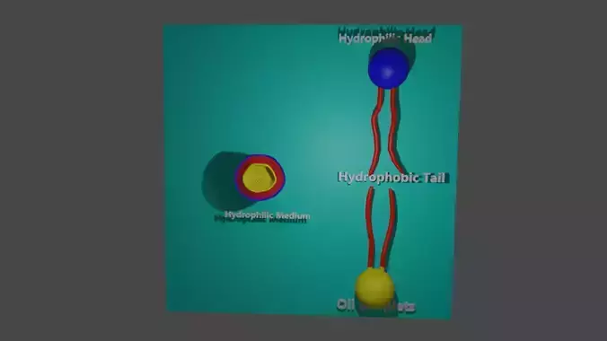Formation of micelles