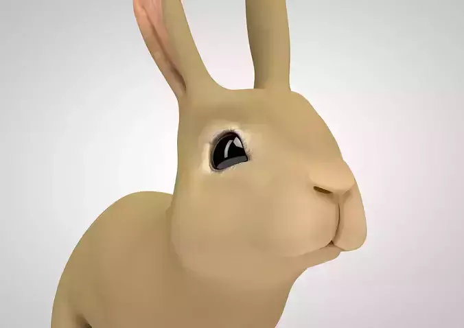 Animated and Rigged Rabbit 3D model