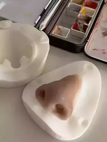 Nose prosthesis mold 3D print model