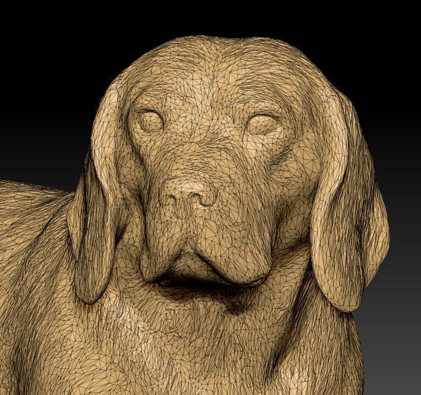 Beagle dog 09 Low-poly 3D model_7