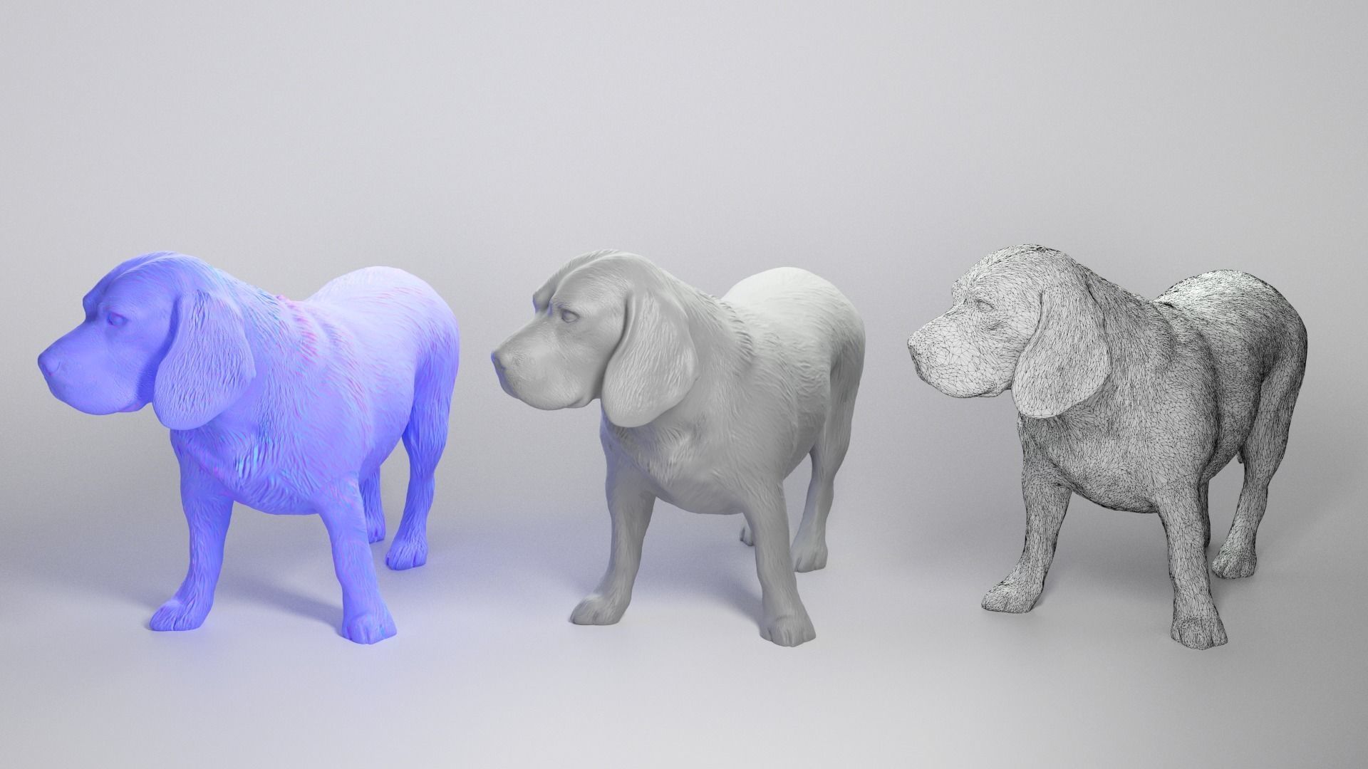 Beagle dog 09 Low-poly 3D model_3