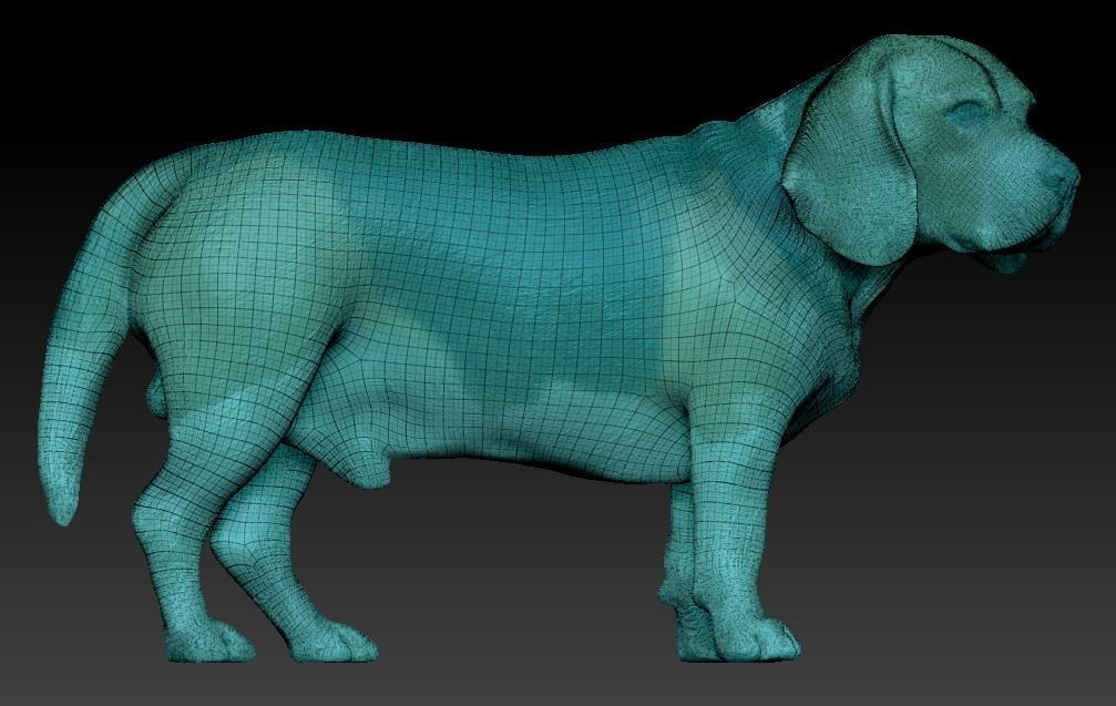 Beagle dog 09 Low-poly 3D model_4