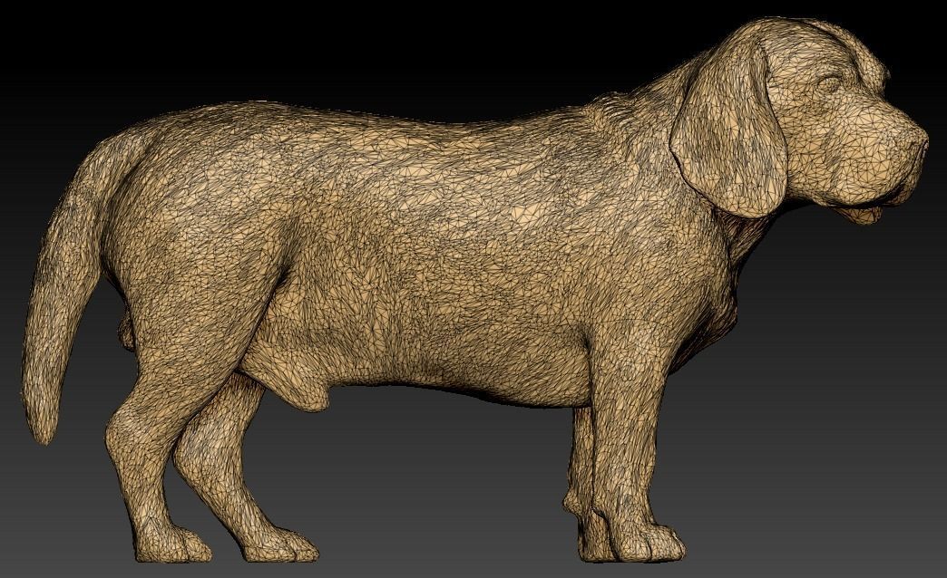 Beagle dog 09 Low-poly 3D model_6