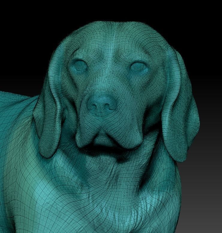 Beagle dog 09 Low-poly 3D model_5