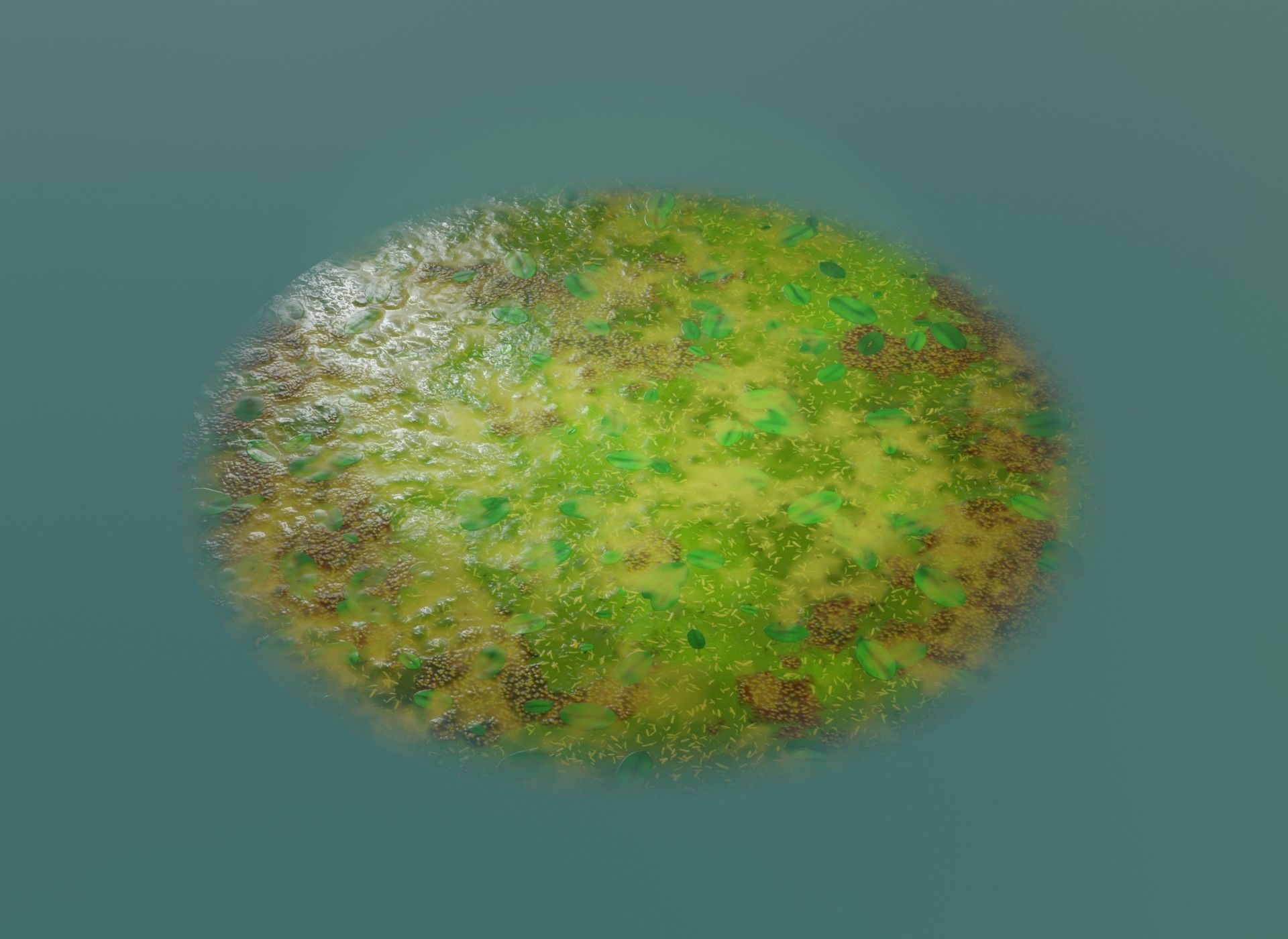 Cartoon Swamp 3D Model Low-poly 3D model_16