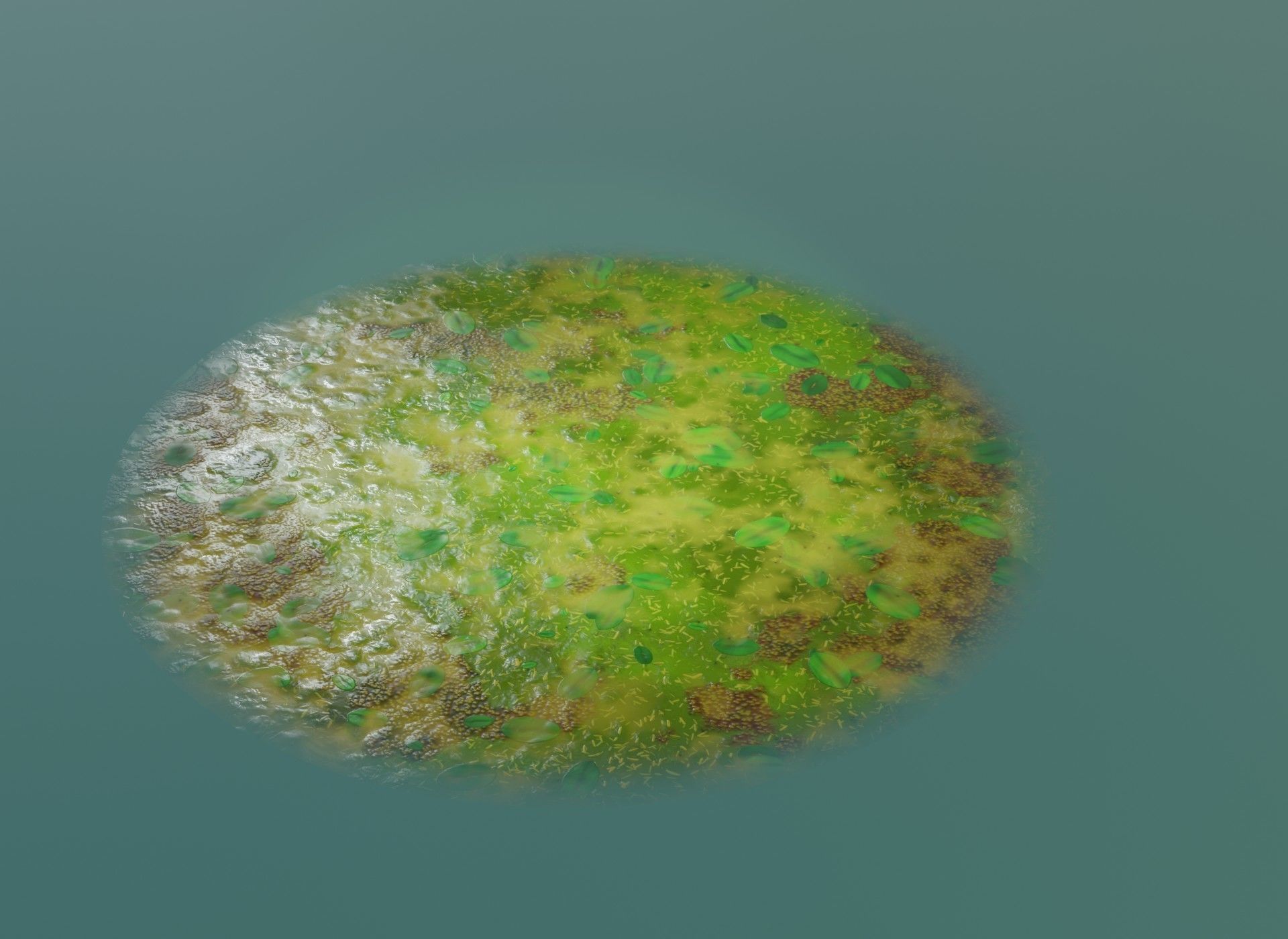 Cartoon Swamp 3D Model Low-poly 3D model_2