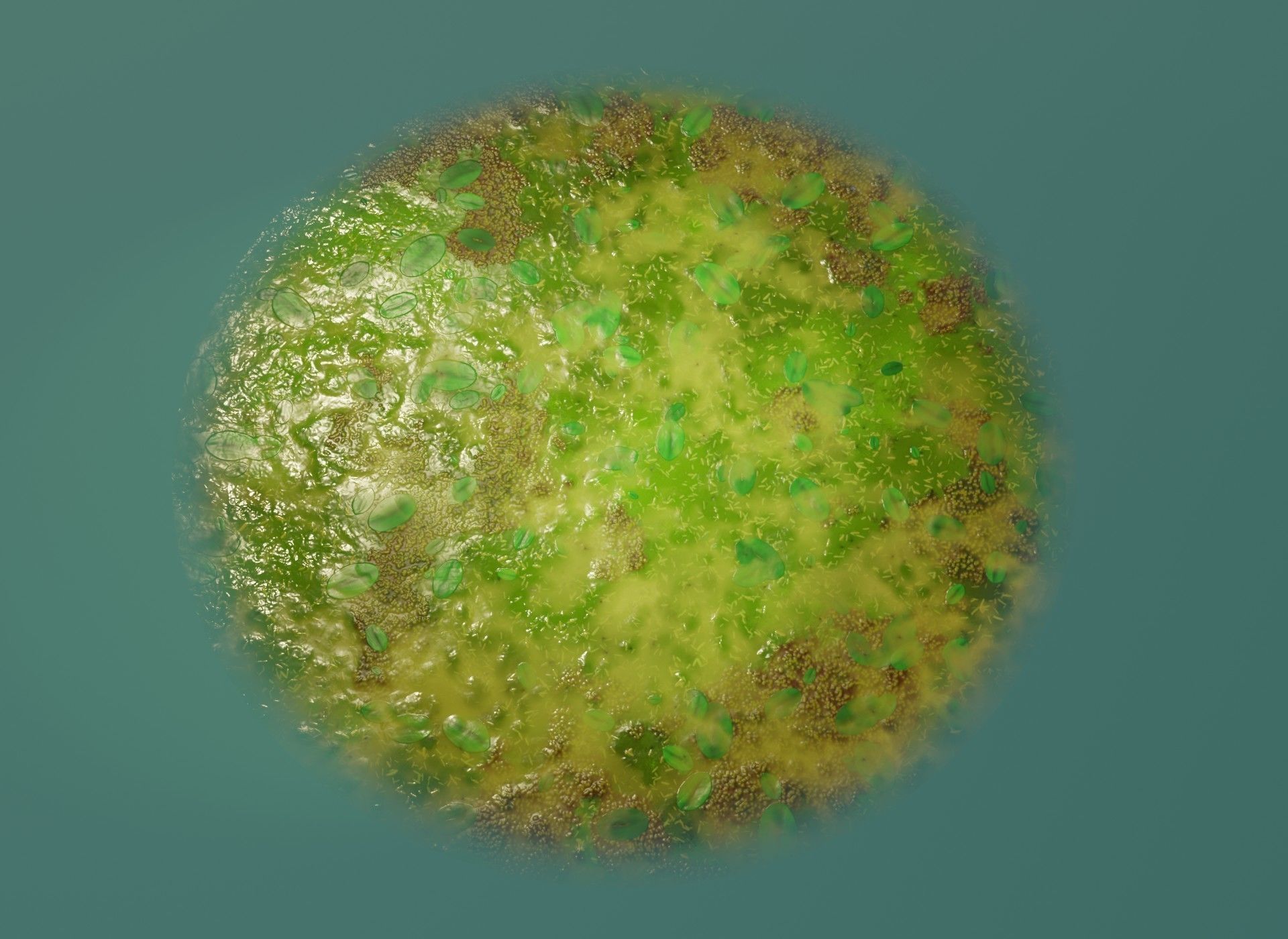 Cartoon Swamp 3D Model Low-poly 3D model_7