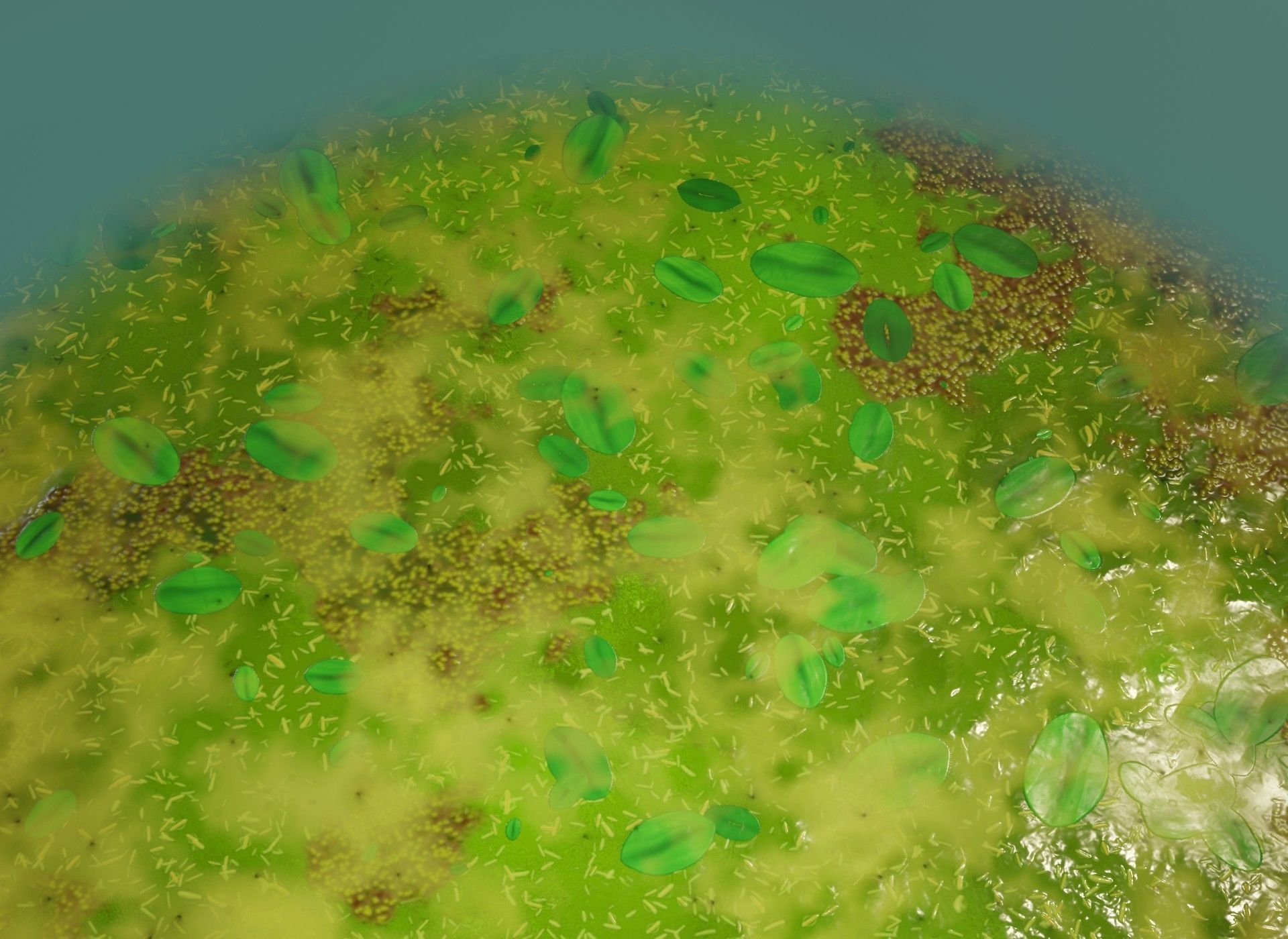 Cartoon Swamp 3D Model Low-poly 3D model_19