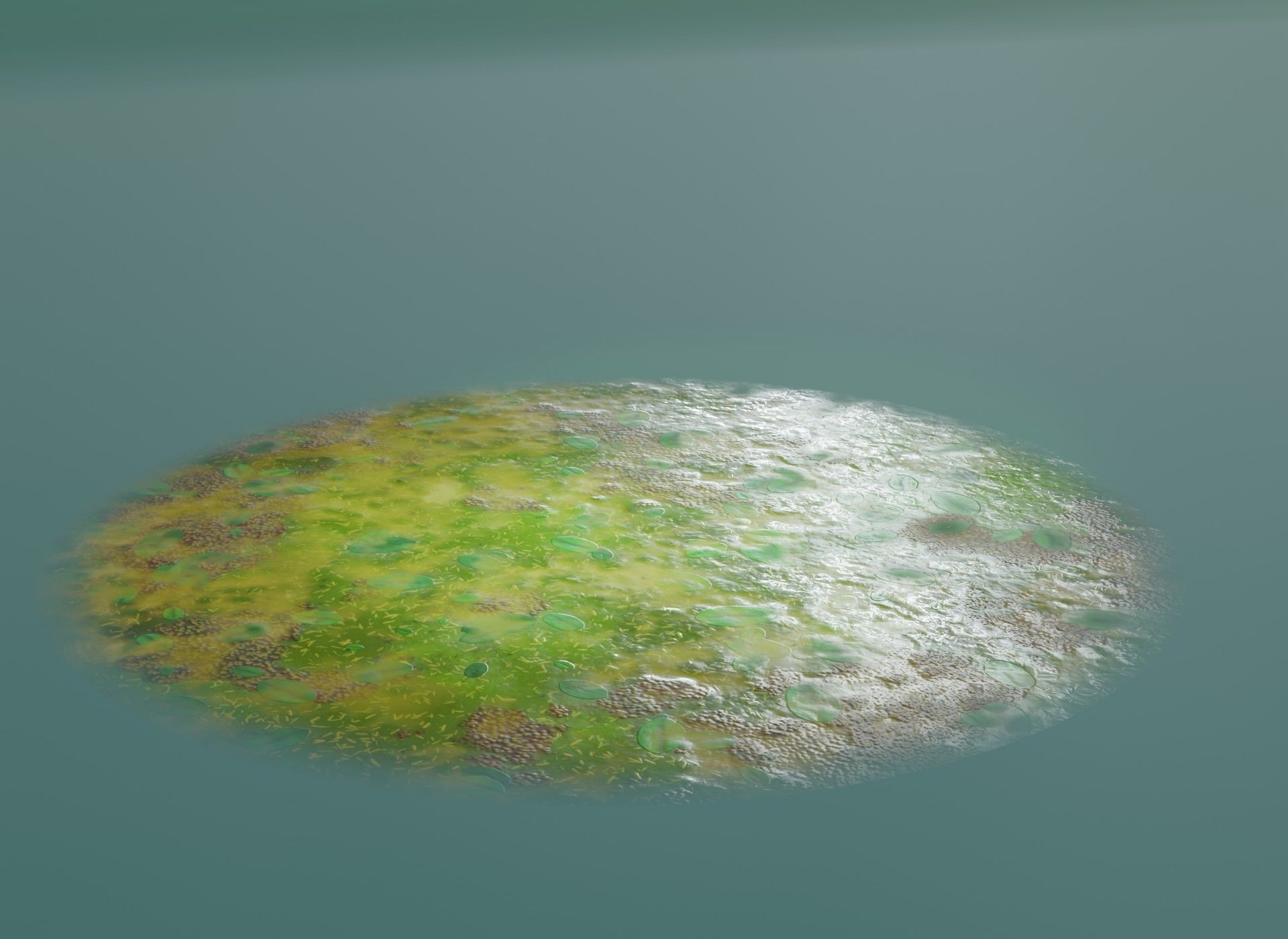 Cartoon Swamp 3D Model Low-poly 3D model_3