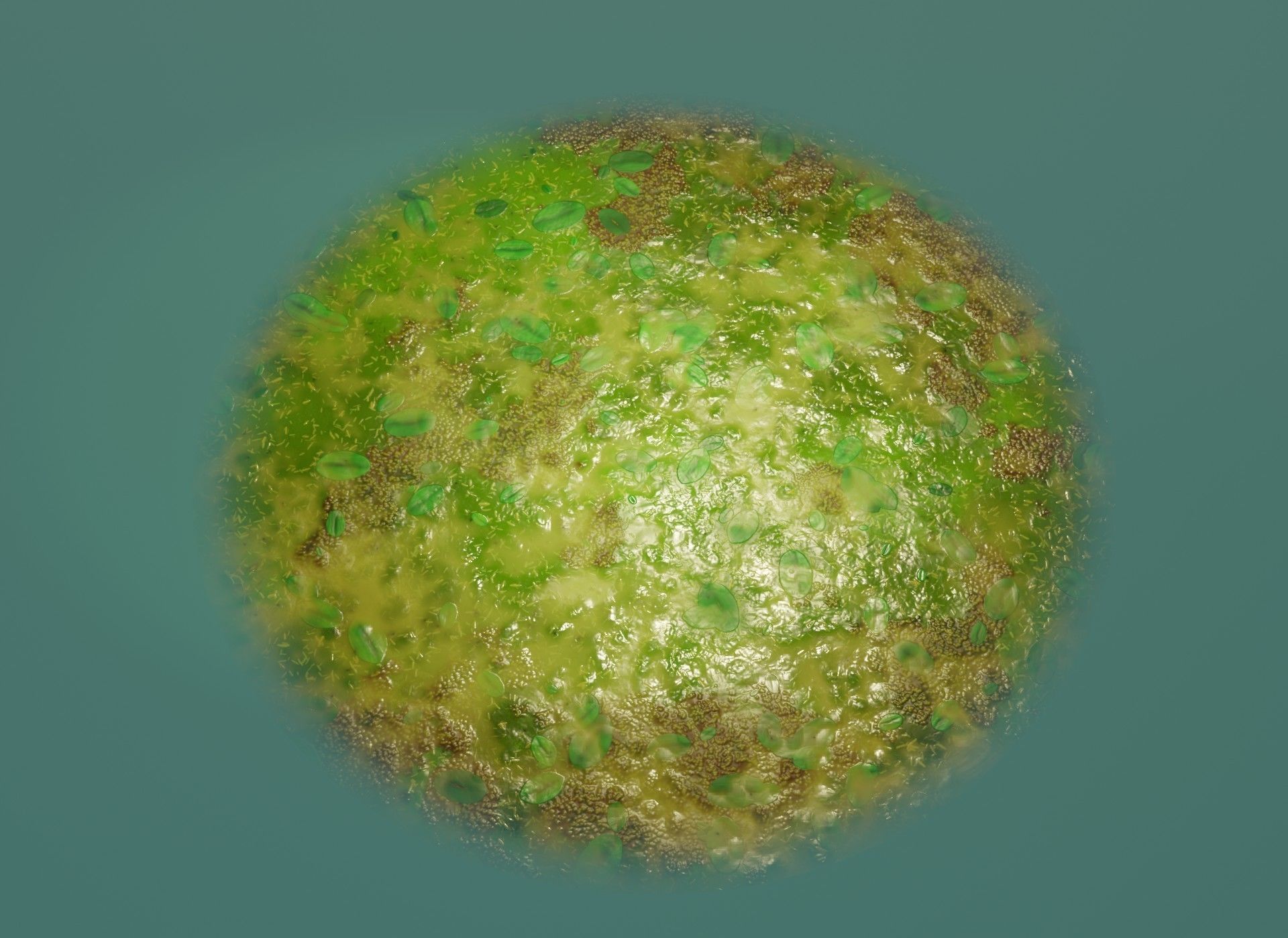 Cartoon Swamp 3D Model Low-poly 3D model_17