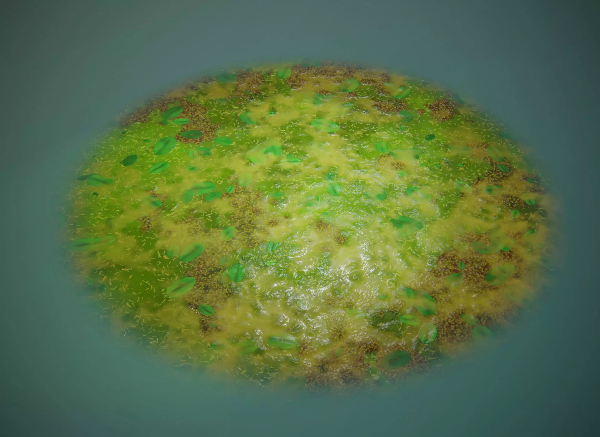 Cartoon Swamp 3D Model Low-poly 3D model_0