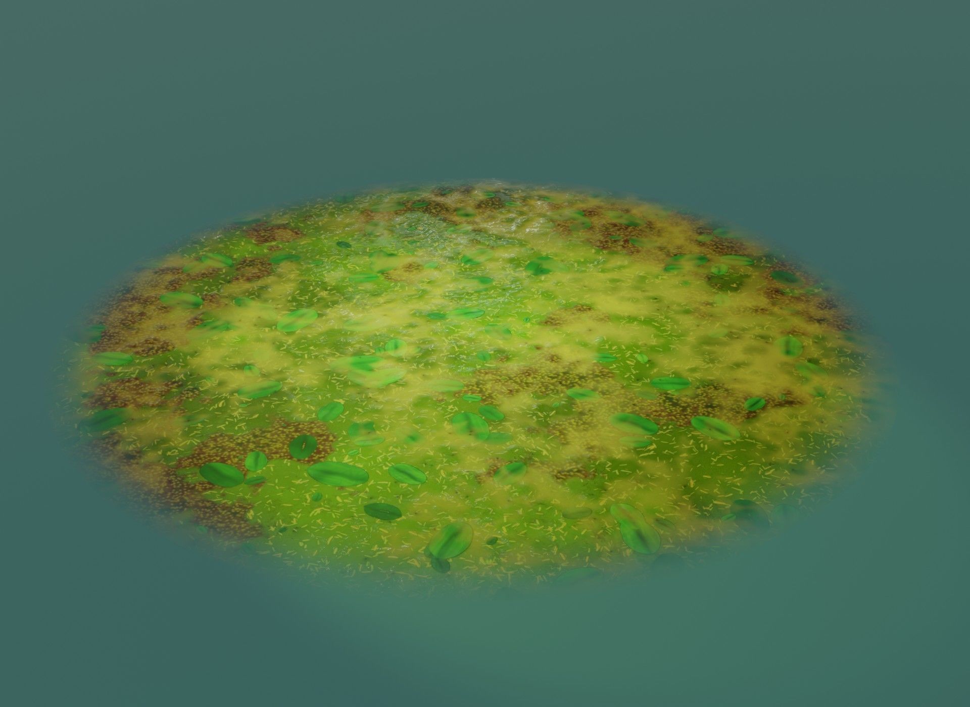 Cartoon Swamp 3D Model Low-poly 3D model_11