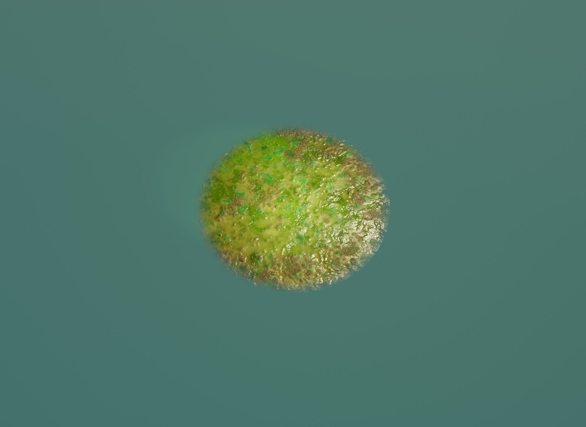 Cartoon Swamp 3D Model Low-poly 3D model_9