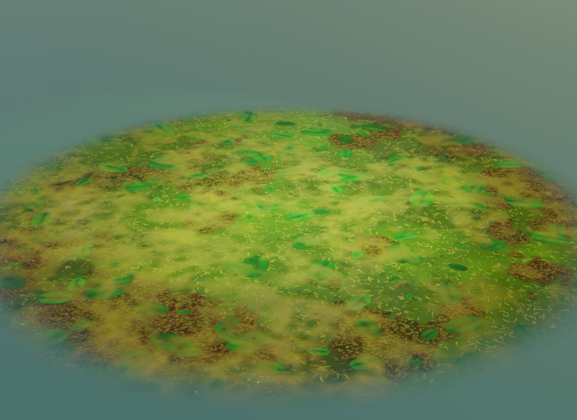 Cartoon Swamp 3D Model Low-poly 3D model_20