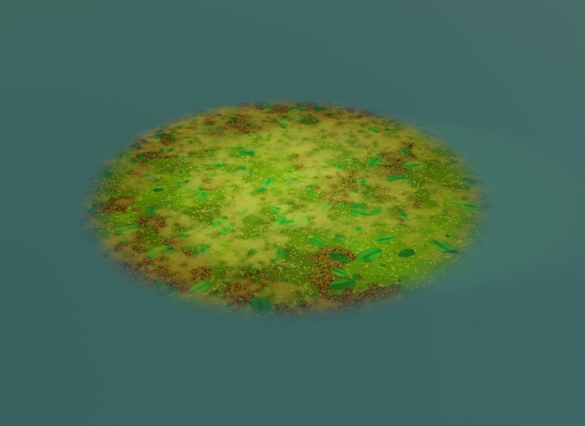 Cartoon Swamp 3D Model Low-poly 3D model_15