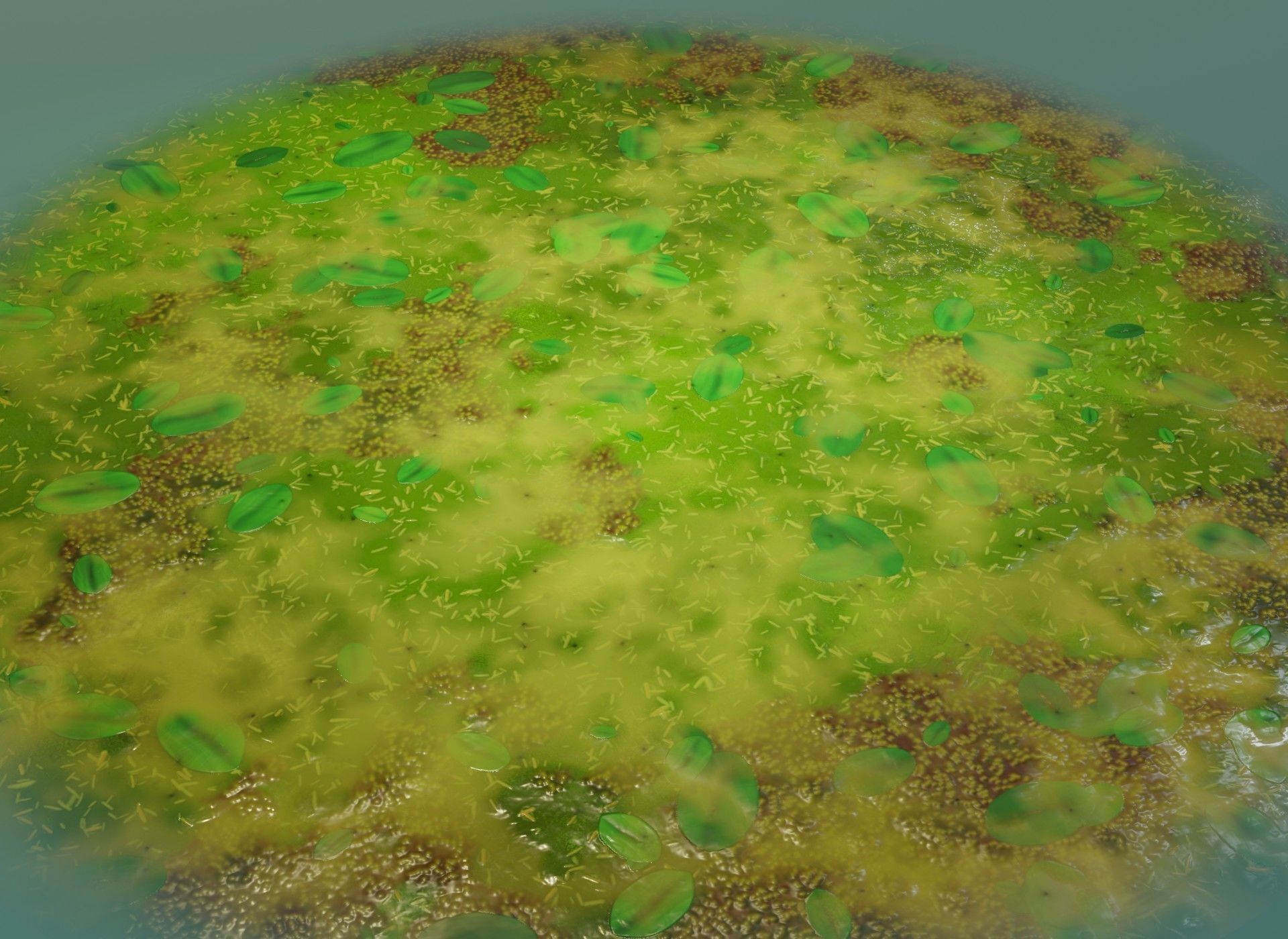 Cartoon Swamp 3D Model Low-poly 3D model_18