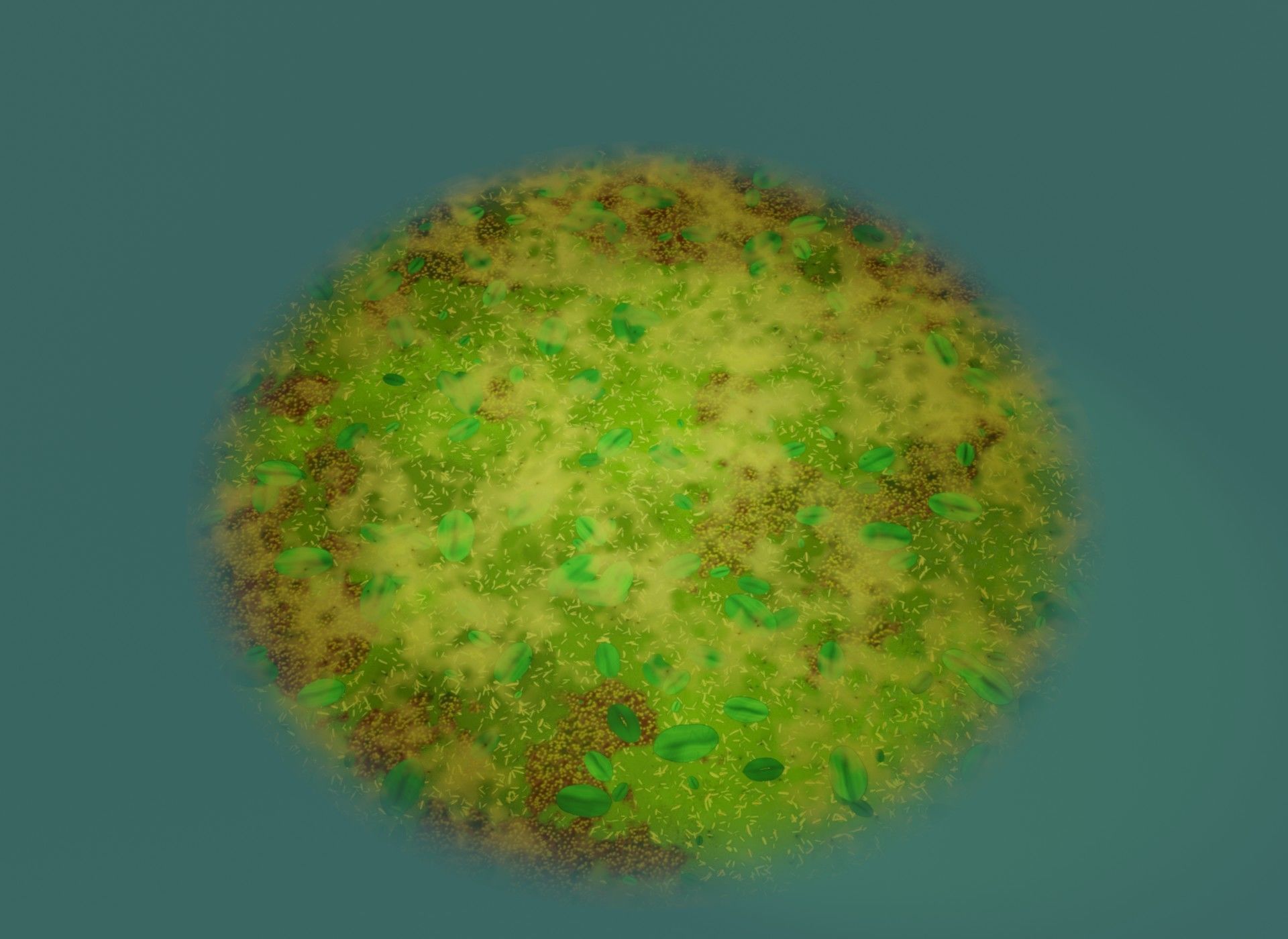 Cartoon Swamp 3D Model Low-poly 3D model_12