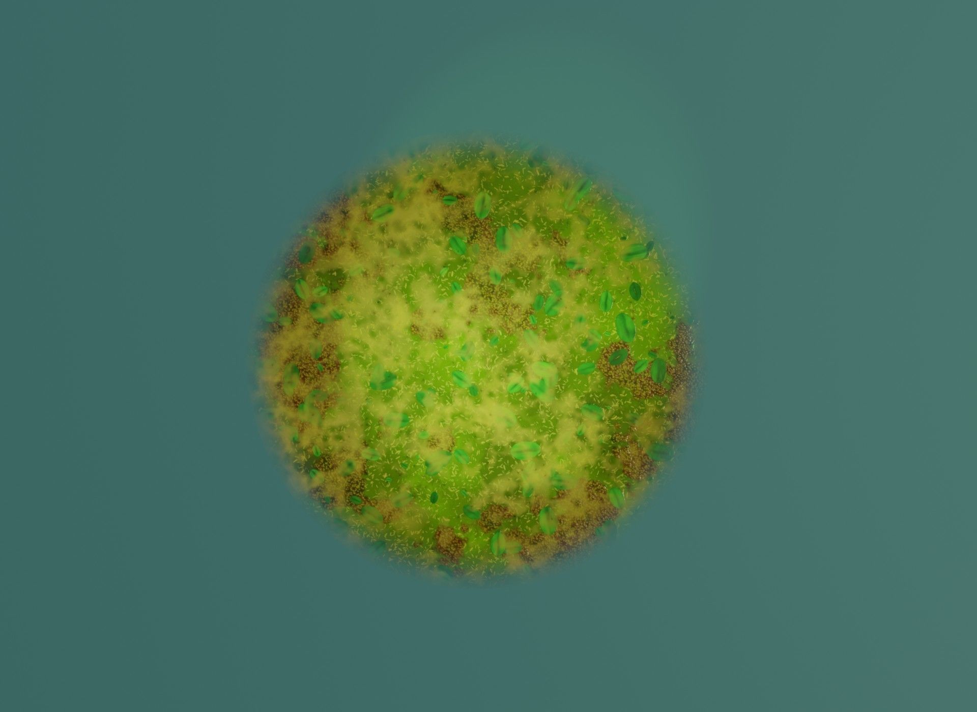 Cartoon Swamp 3D Model Low-poly 3D model_5