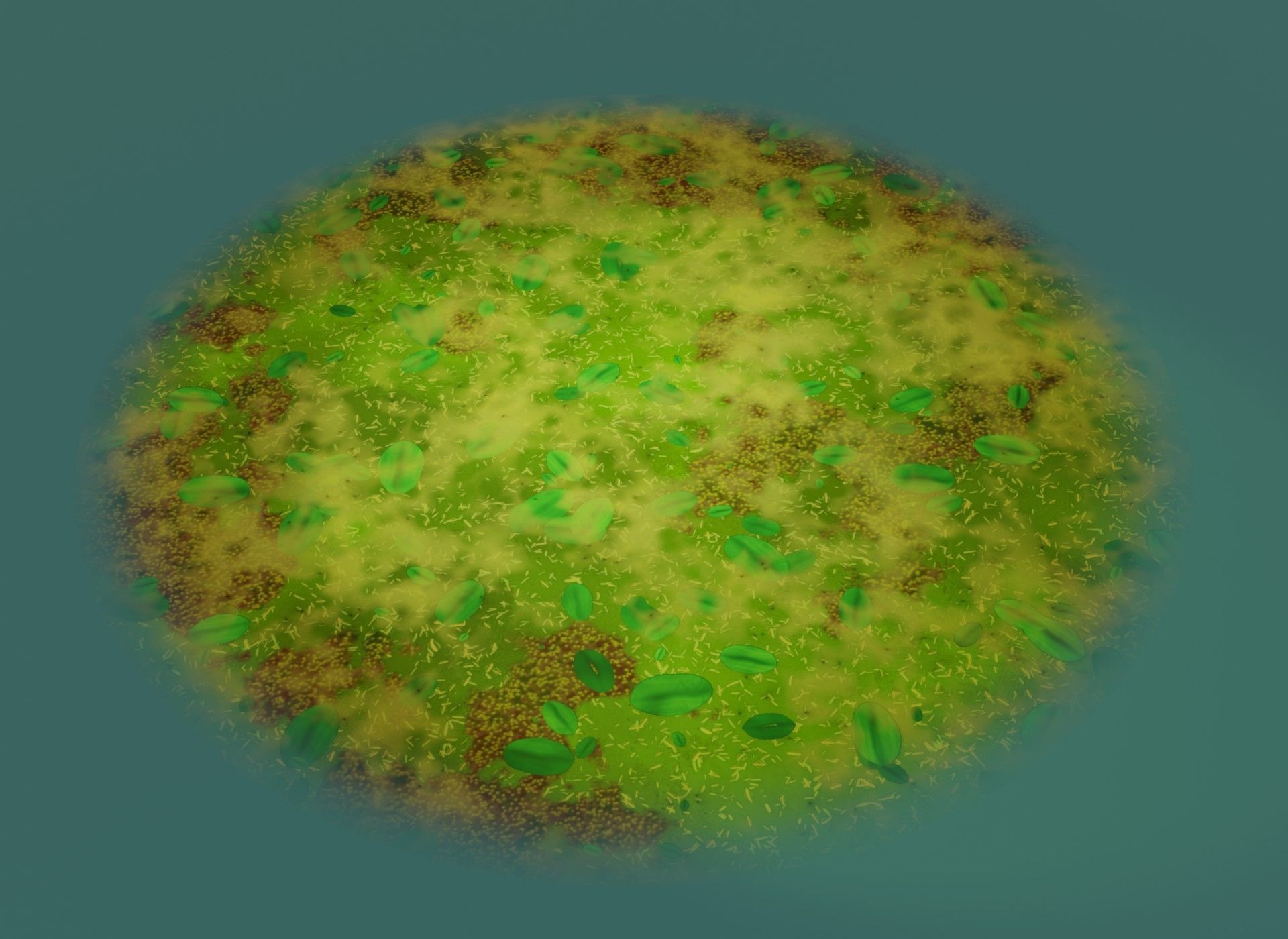 Cartoon Swamp 3D Model Low-poly 3D model_14