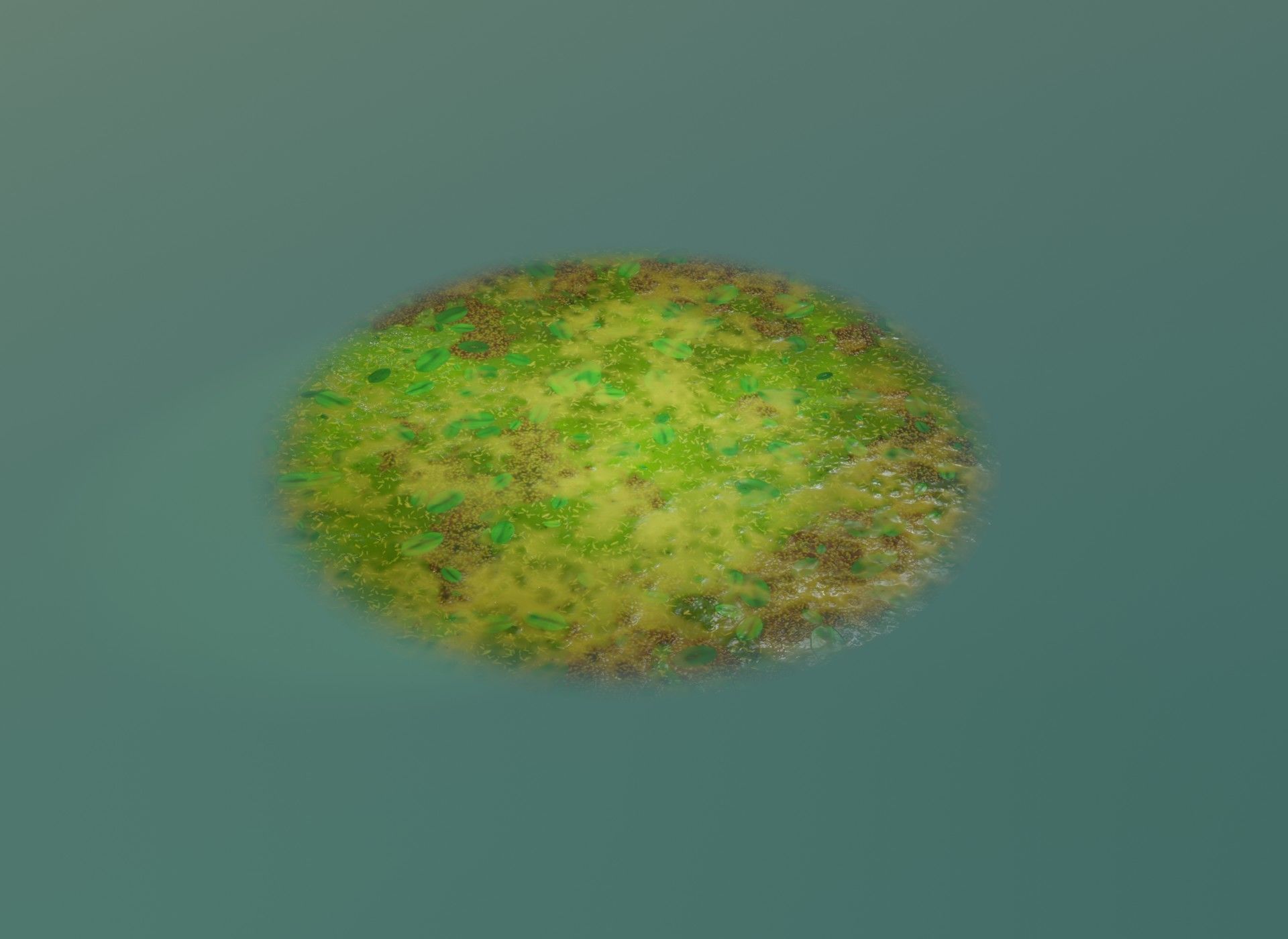 Cartoon Swamp 3D Model Low-poly 3D model_10