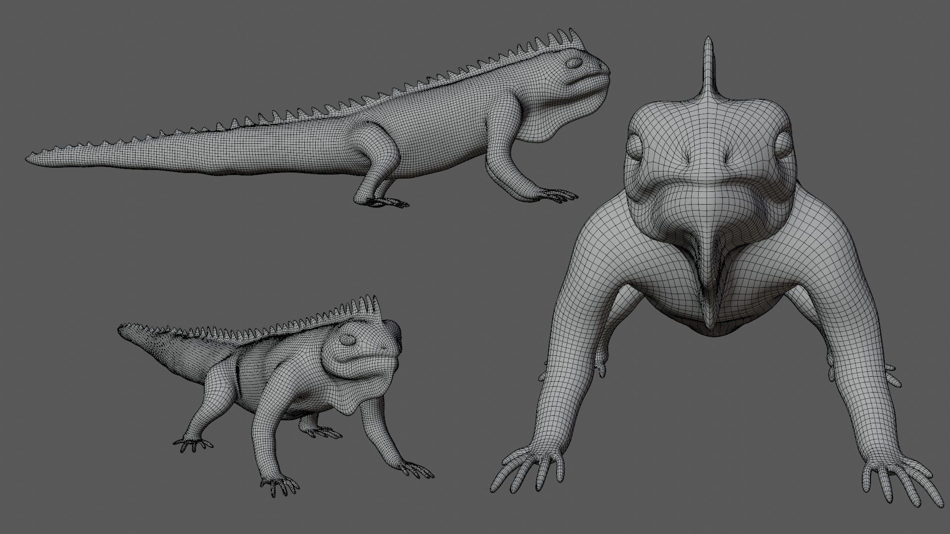Iguana Lizard Low-poly 3D model_7