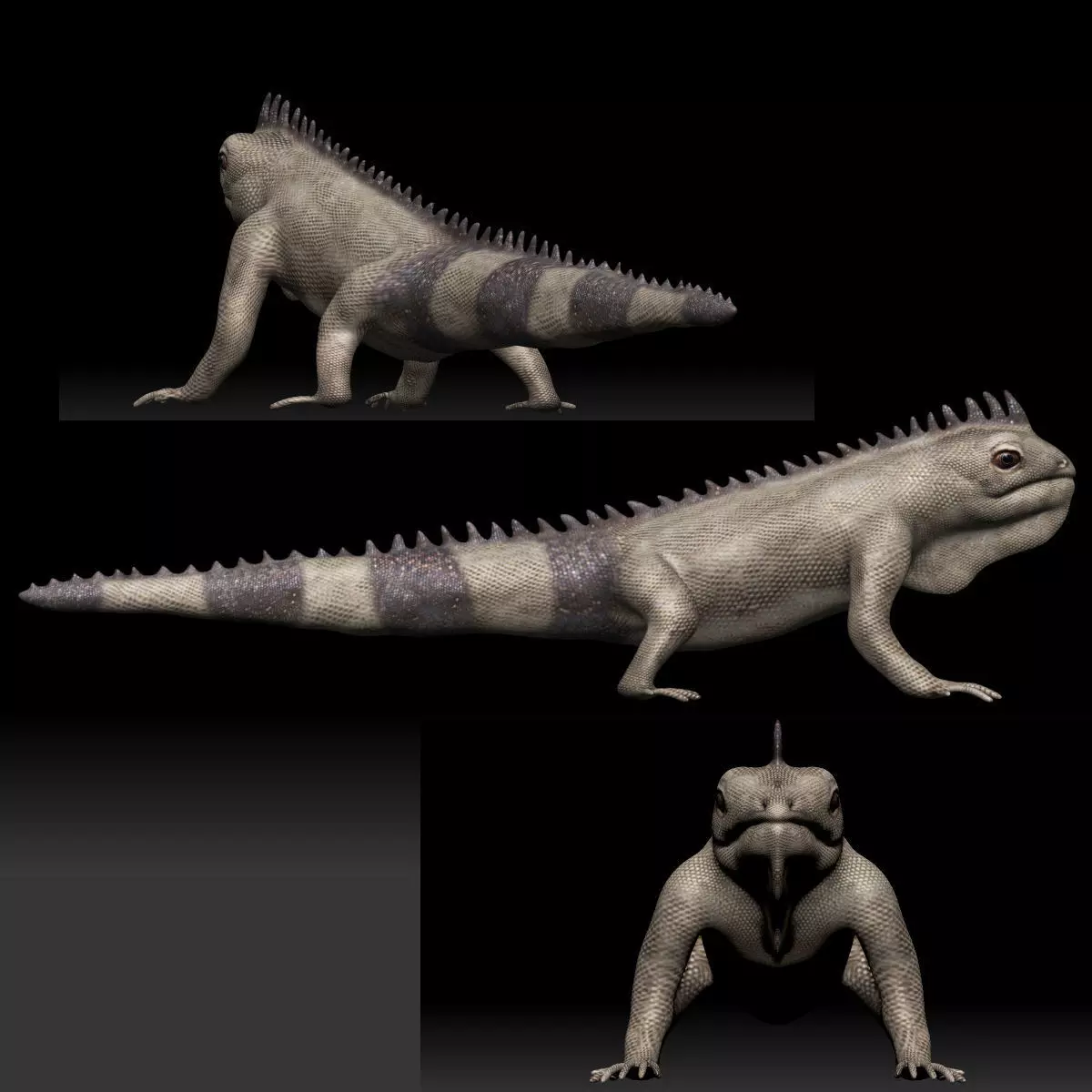 Iguana Lizard Low-poly 3D model_0